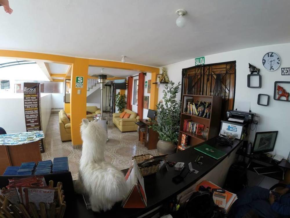 Cuscopackers Hostels ภายนอก รูปภาพ